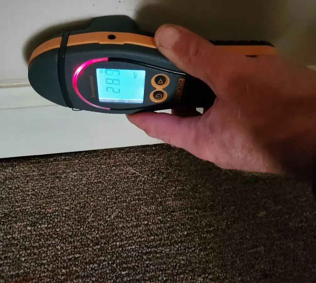 Moisture detection at baseboard during Sewage Cleanup & Sanitation in Duluth